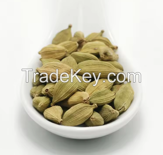 100% Premium Green Cardamom For Sale