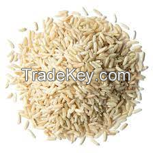 Long Grain White And Brown Rice For Exports In Cheap Price