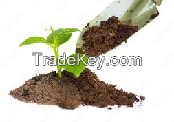 Plant Growth Fertilizer For Sales