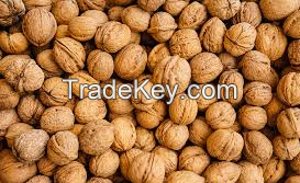 High Quality Walnuts For Sale