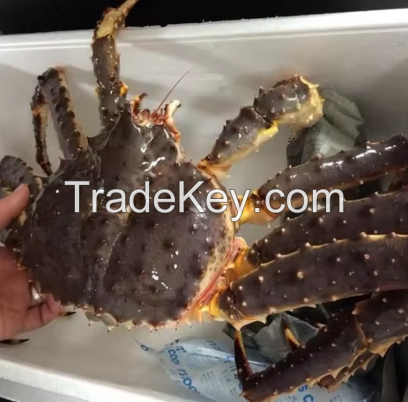 New Stock Alive/ Fresh/ Frozen Blue Swimming Crab