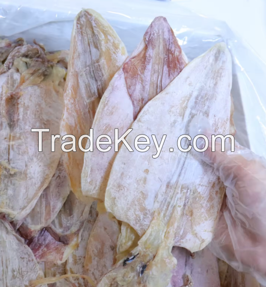 Wholesale Dried Calamari Squid Fresh