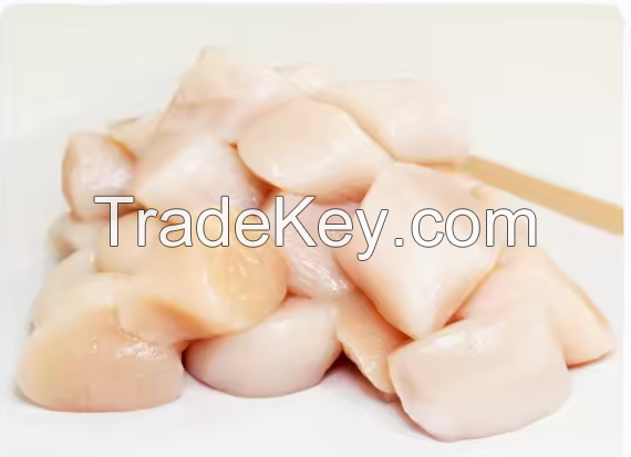 High Quality Scallop Fish Seafood With Half Shell