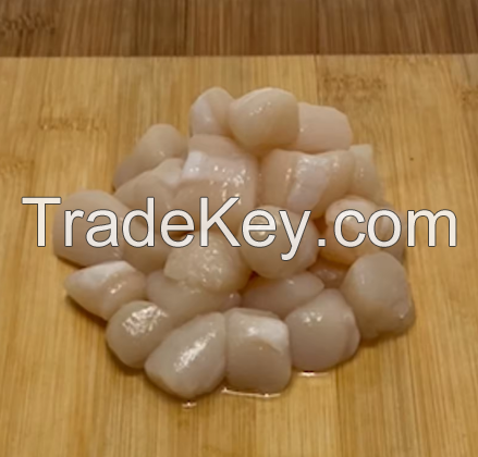 High Quality Scallop Fish Seafood With Half Shell