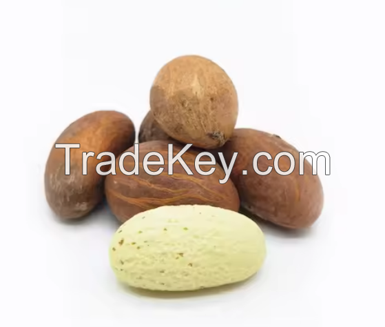 Best Grade Fresh Bitter Kola Nuts 