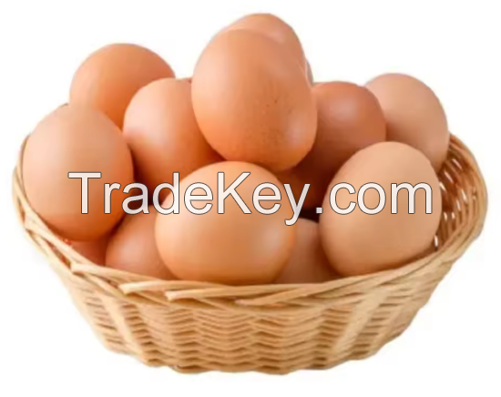 100% Premium Farm Fresh Chicken Table Eggs