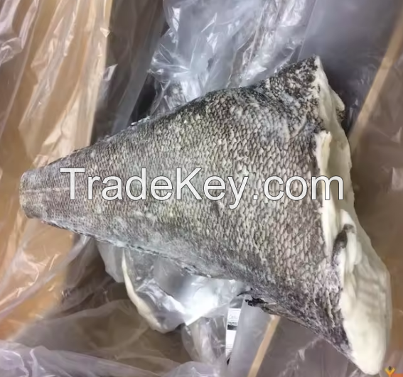 Fresh Wholesale Chilean Seabass For Sale