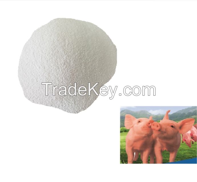 Factory Sale Top Quality Antibiotic Alternative Protect Intestinal Mucosa Glyceryl Tributyrate Tributyrin 60% Butyrate