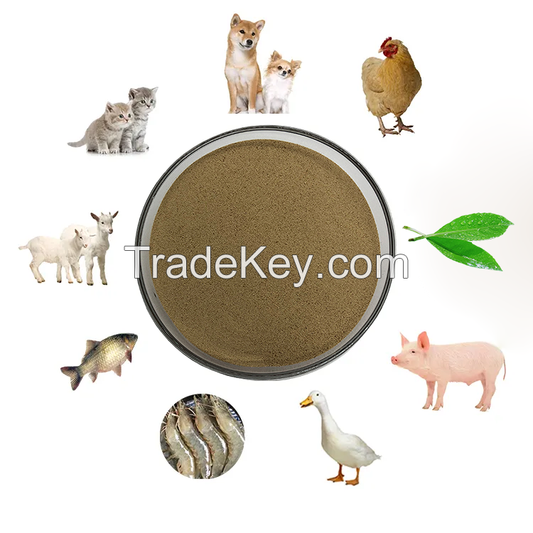 Popular Products Feed Additives Animal 10 biilion Bacillus subtilis Probiotics Feed Factory price Bacillus Subtilis