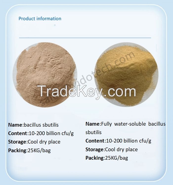 Popular Products Feed Additives Animal 10 biilion Bacillus subtilis Probiotics Feed Factory price Bacillus Subtilis