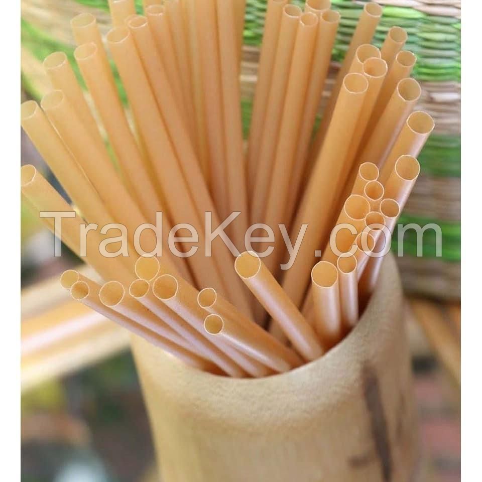 Sugarcane Bagasse Straws