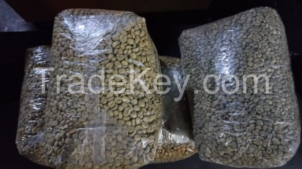 Arabica Gayo Malabar Wayang Specialty Varieties Green Beans