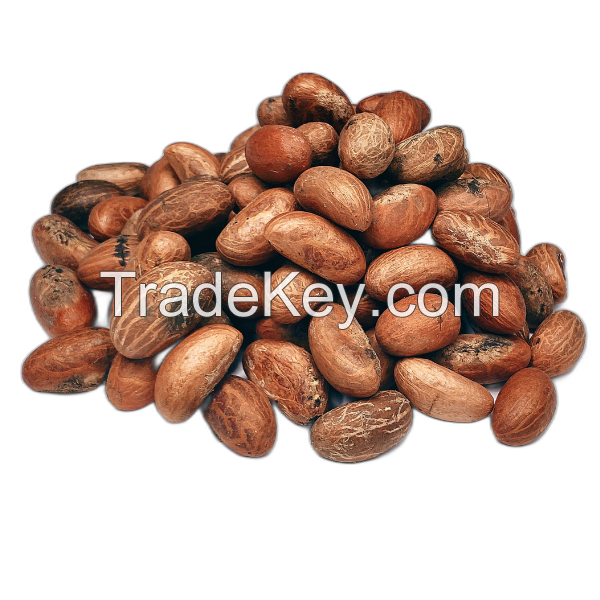 African Bitter Kola Nut