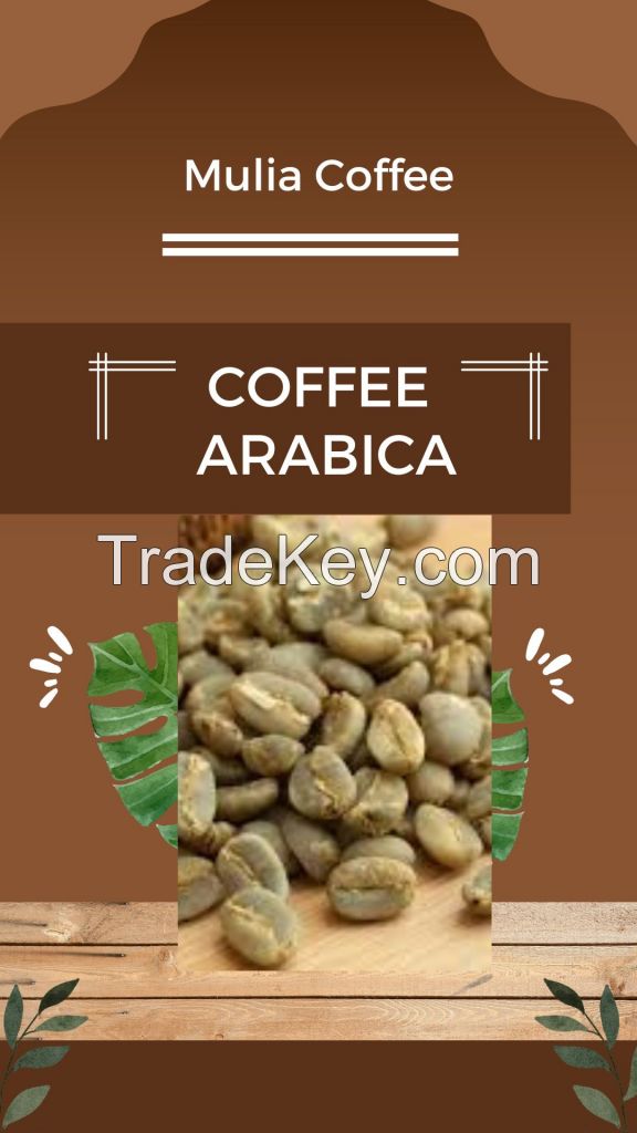 Gayo Arabica Coffee