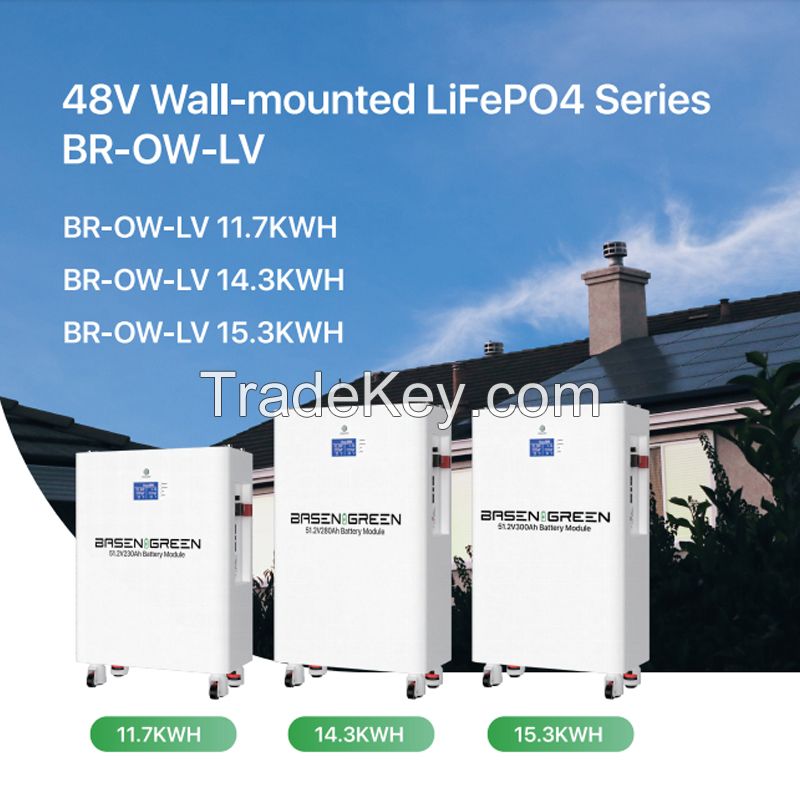 51.2V Solar energy storage system Lifepo4 cell lithium battery pack