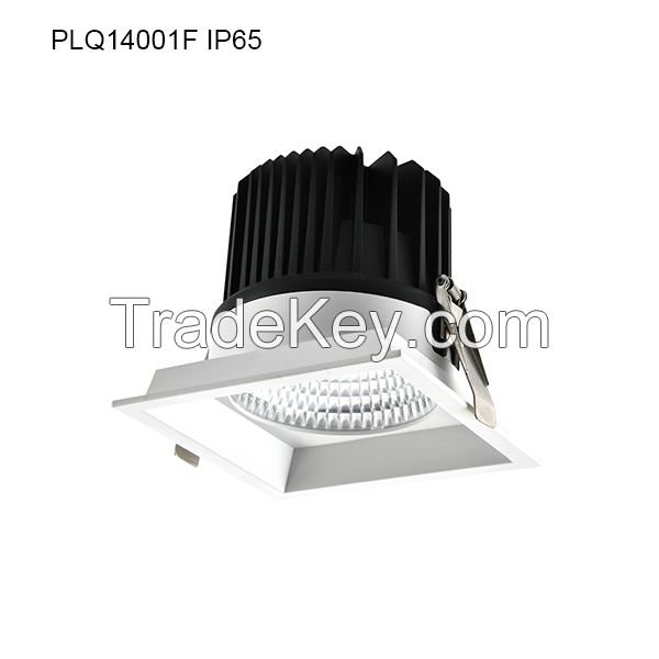 LED Downlight Waterproof Downlight PLQ14001F IP65