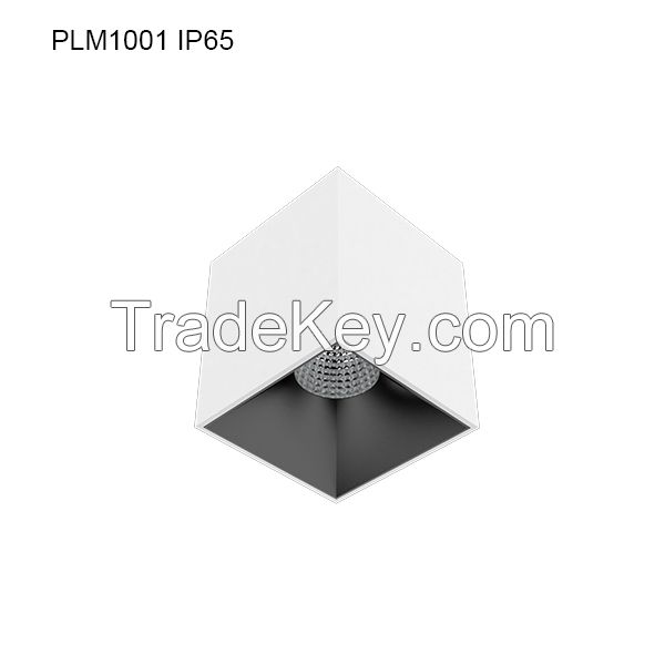 Specular Surface mounted Downlight PLM1001 IP65