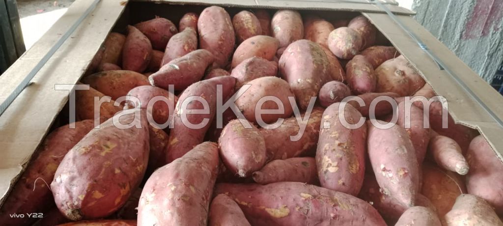 fresh sweet potatoes