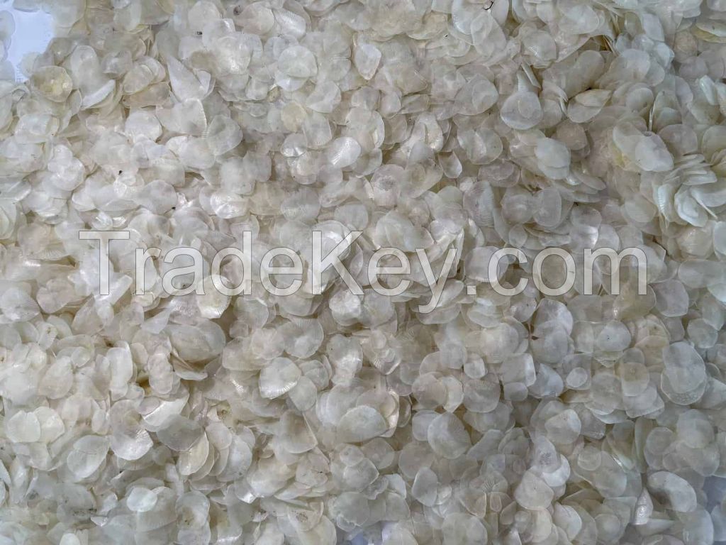 Best Seller Dried Fish Scales from Viet Nam