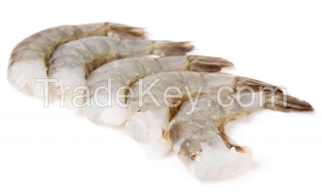 Ecuadorian Shrimp - P&amp;D (Peeled and Deveined)