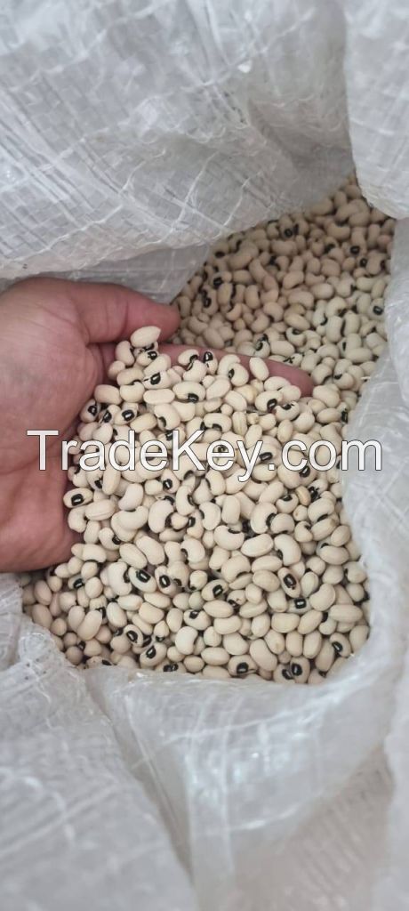 LONG GRAAIN WHITE RICE , WHEAT GRAIN , SOYABEANS,BEANS,PEAS,PULSES,SUNFLOWER