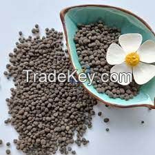 ARABIC AND ROBUSTA COFFEE BEANS /KIDNEY BEANS