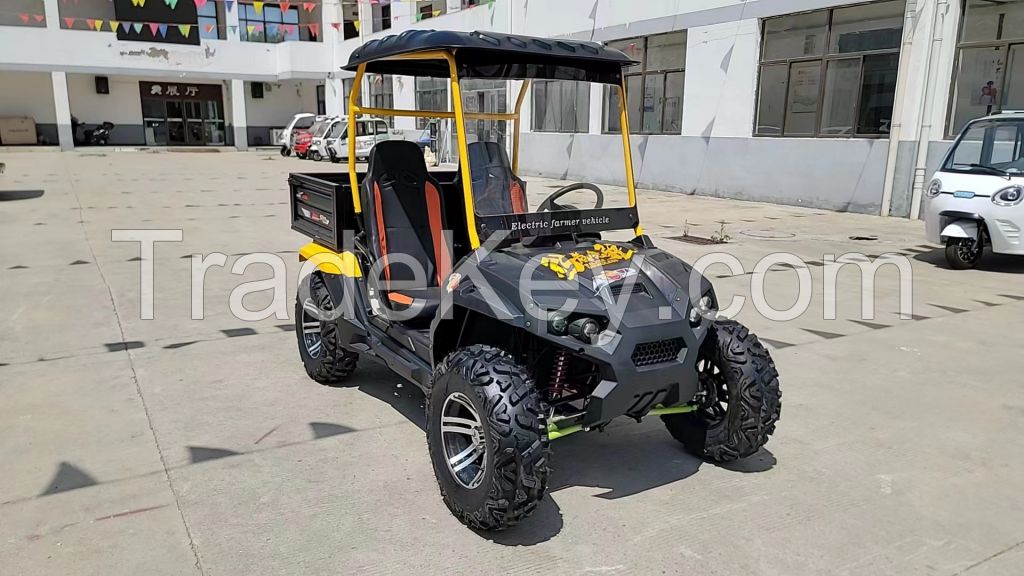 UTV /Utility Vehicle