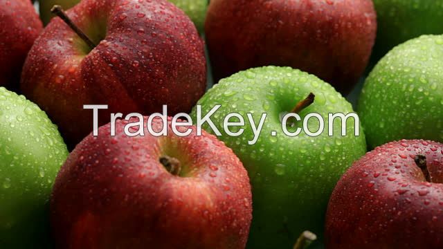 Fresh Apple/Apples Fruits 