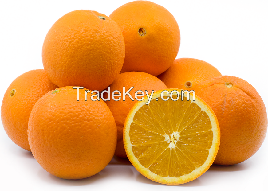 Oranges, Fresh Oranges, Navel Oranges