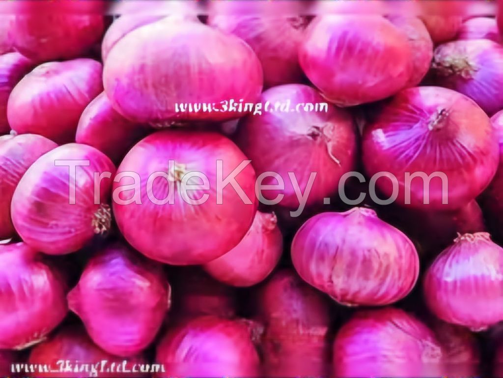 RED ONIONS