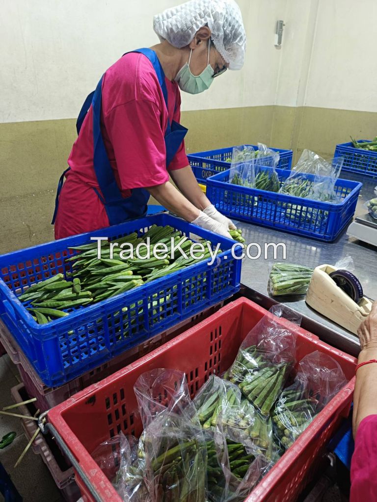 Fresh Okra