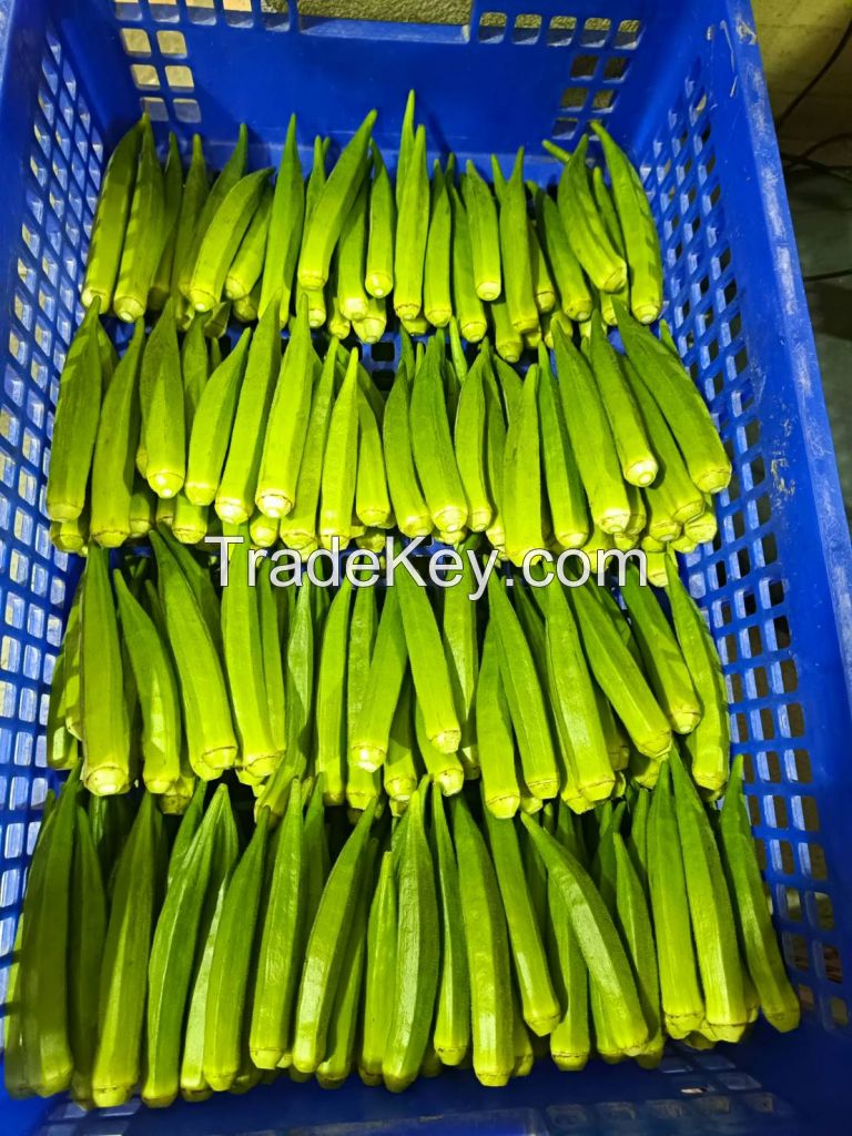 Fresh Okra