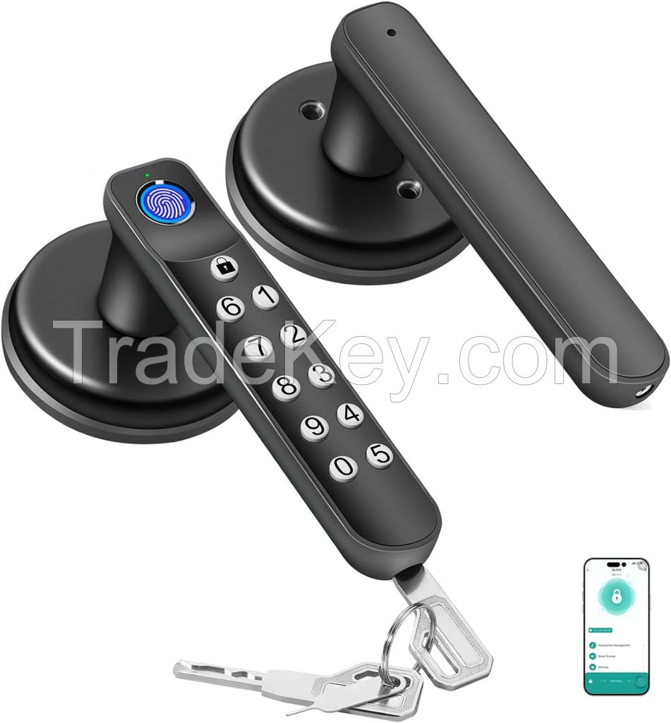 T02 Smart Fingerprint Door Knob, Keyless Entry Door Locks with Keypads, Backup Key