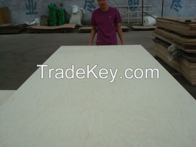 White Maple Veneer Timber Plywood