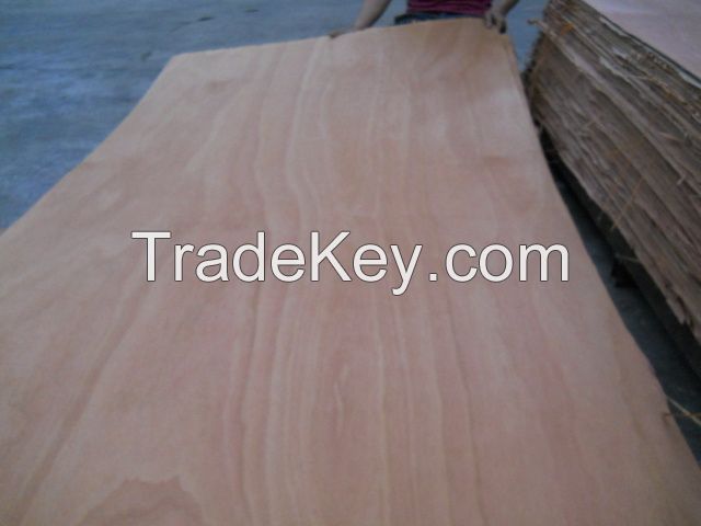 High Quality Pencil Cedar Commercial Plywood