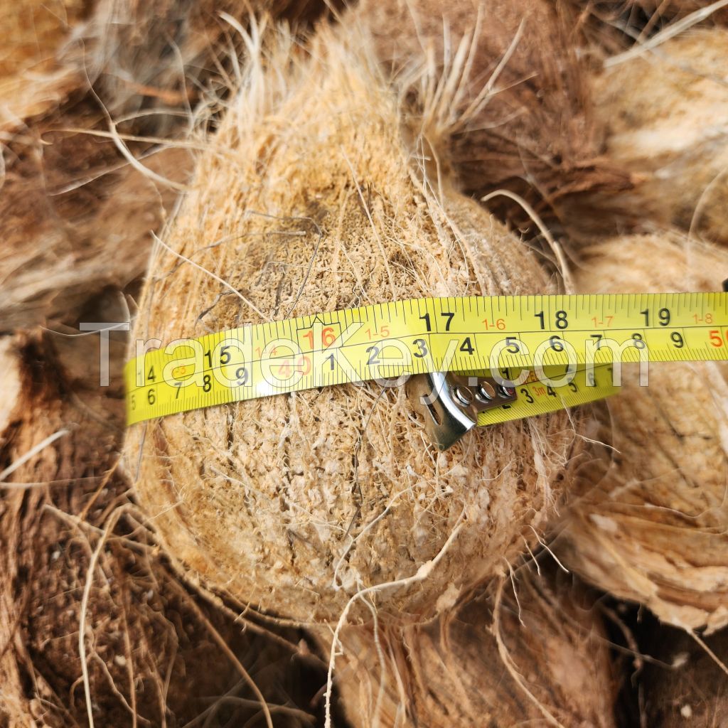 semi husked coconut