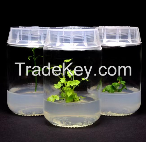 Agar agar powder - plant tissue culture