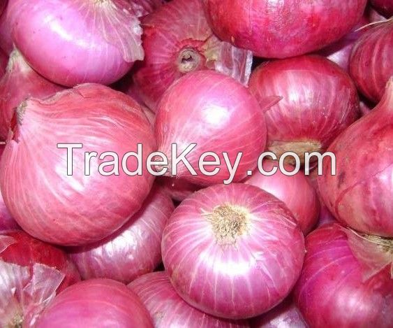 Fresh Indian Onions