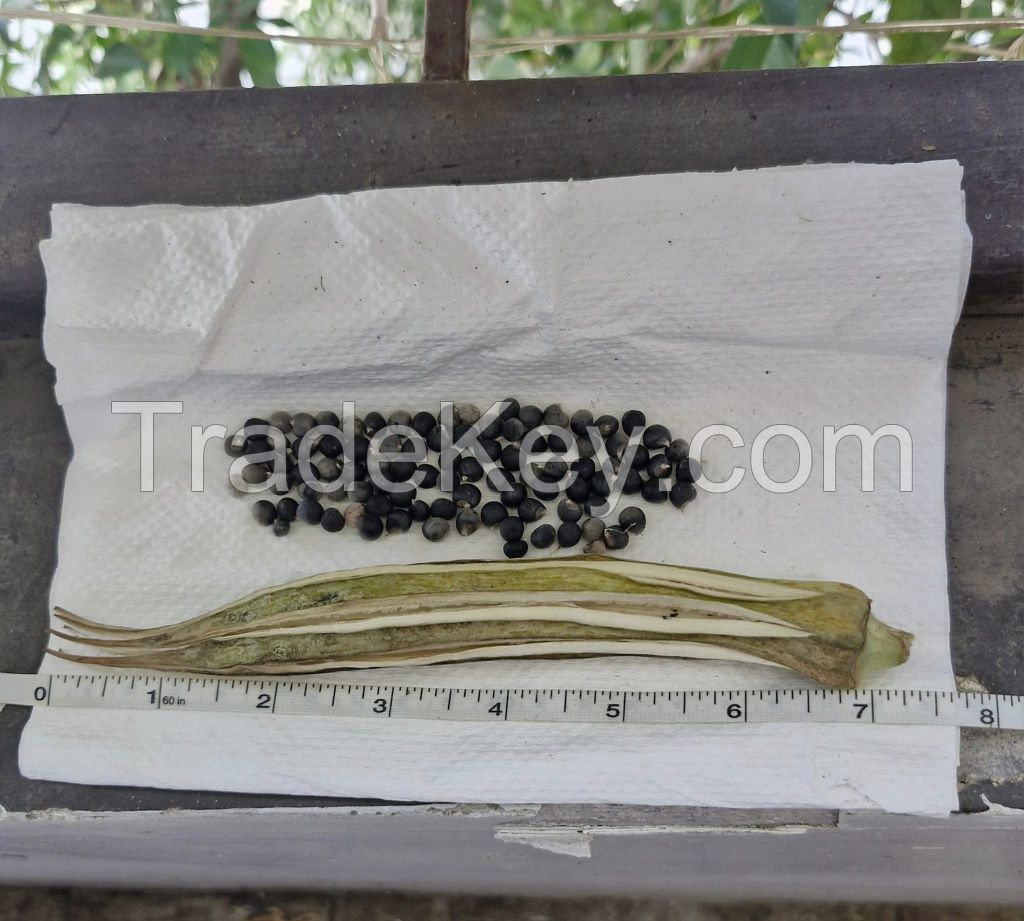 Sun Dried Okro Seeds