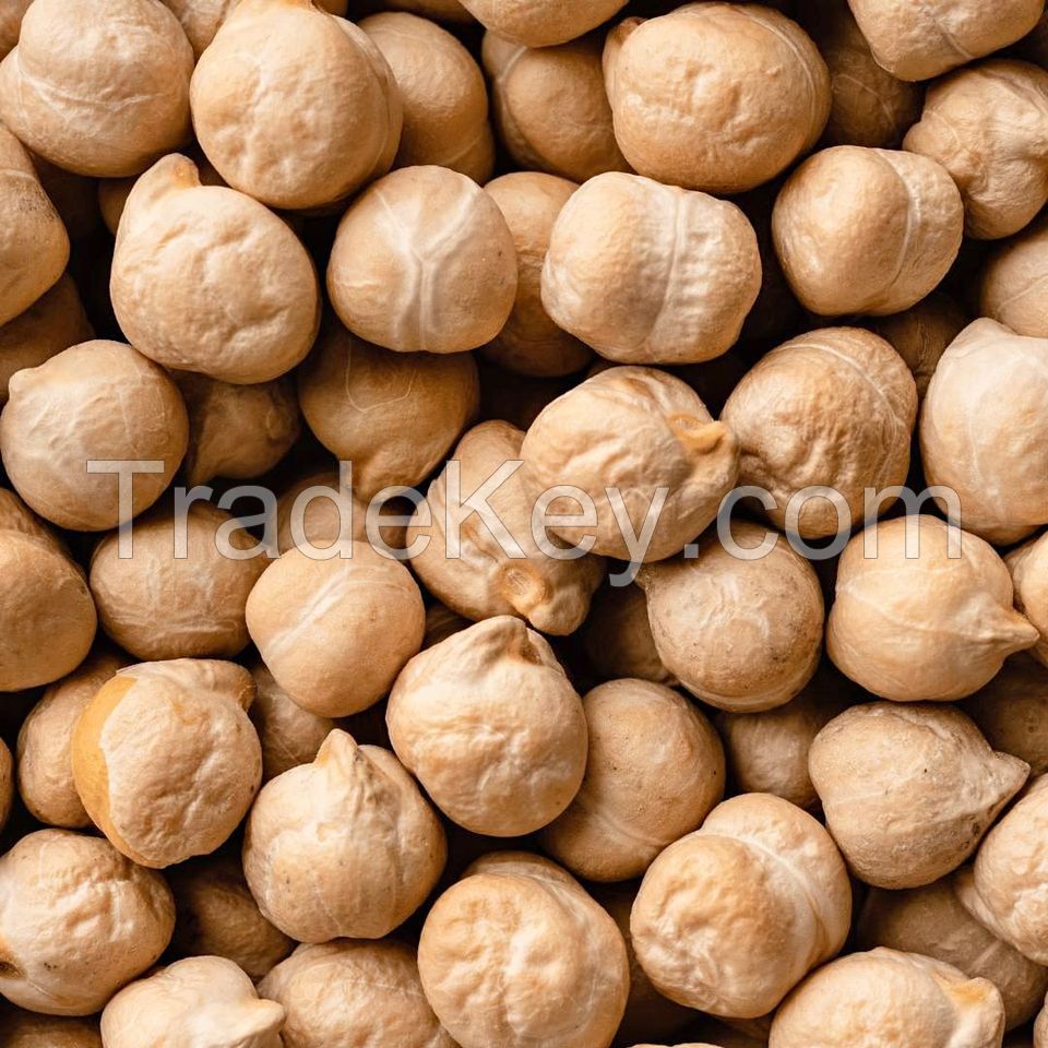 Almond Nuts,Pistachio Nuts , Macadamia Nuts , Pine Nuts , pecan nuts, Coffee beans, Sesame Seeds, walnuts ,Hazel Nuts , Cashew Nuts, 