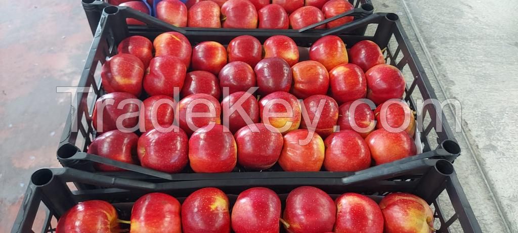 Fresh Turkish Apples