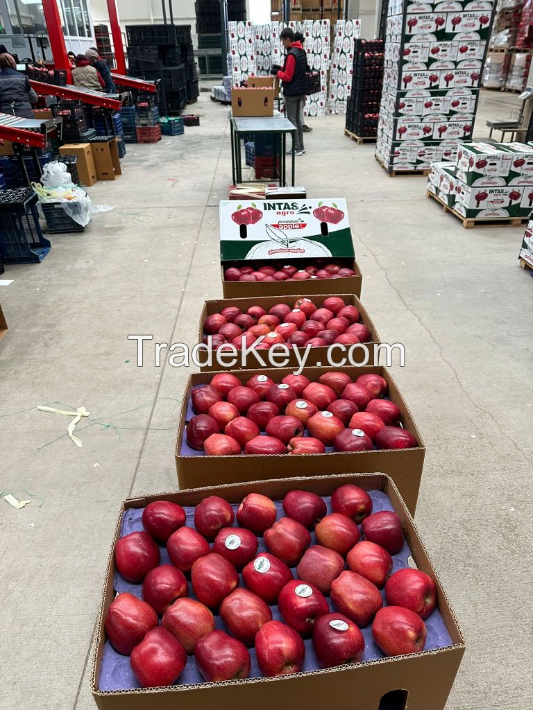 Fresh Turkish Apples