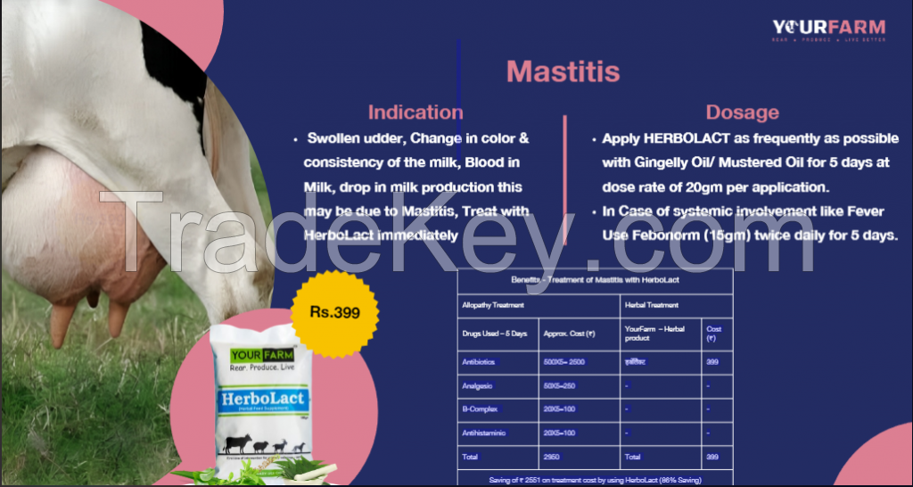 Herbolact- for mastitis in cow