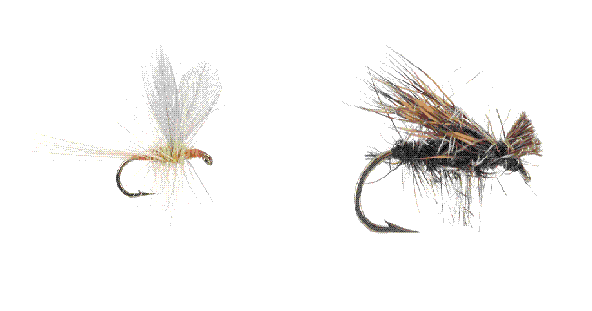 fishing flies