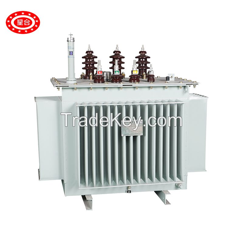 oil-immersed transformer