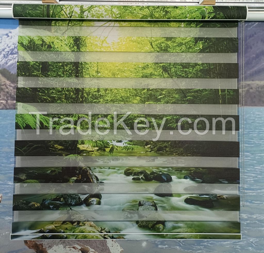 Unique personalized Zebra Shades Custom Printed Zebra Blinds