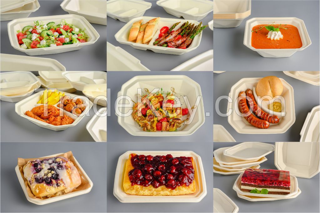 Biodegradable Food Packaging - Trays Paper Pulp