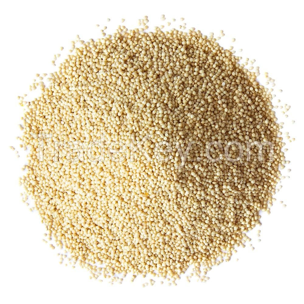 Quality Amaranth Seeds for Sale