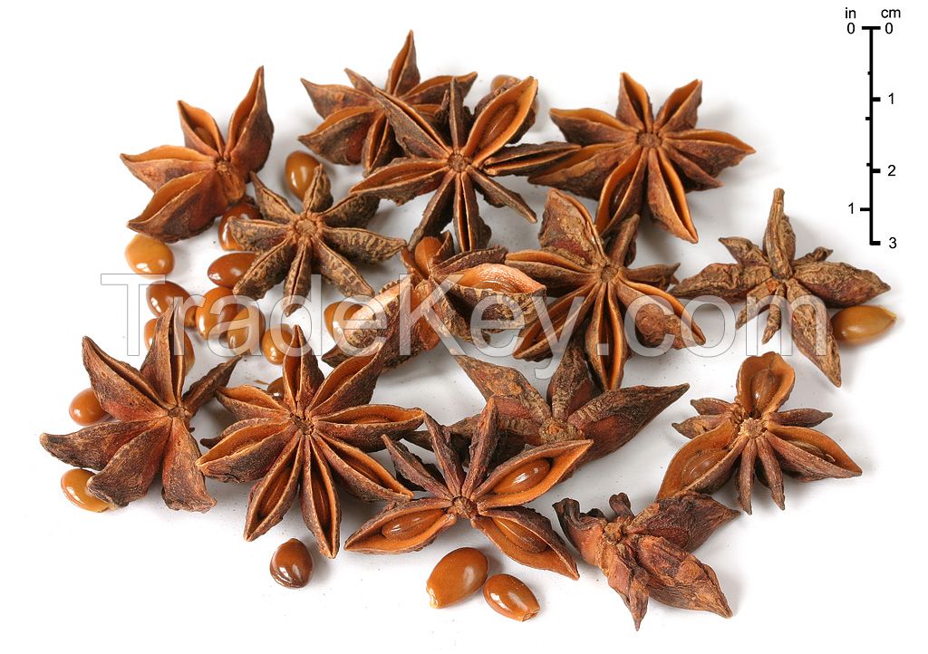 Vietnamese Dried Star Anise