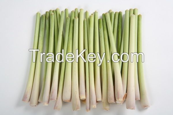 Fresh Lemongrass